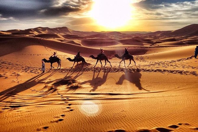Day Trip From Errachidia to Merzouga Desert - Inclusions and Pricing