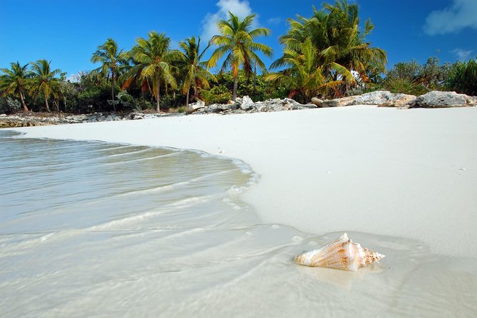 Day Trip to Bimini, Bahamas - Ferry Tickets - Cost and Inclusions