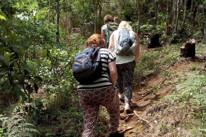 Day Trip To Lupanga Peak - Highlights of the Tour
