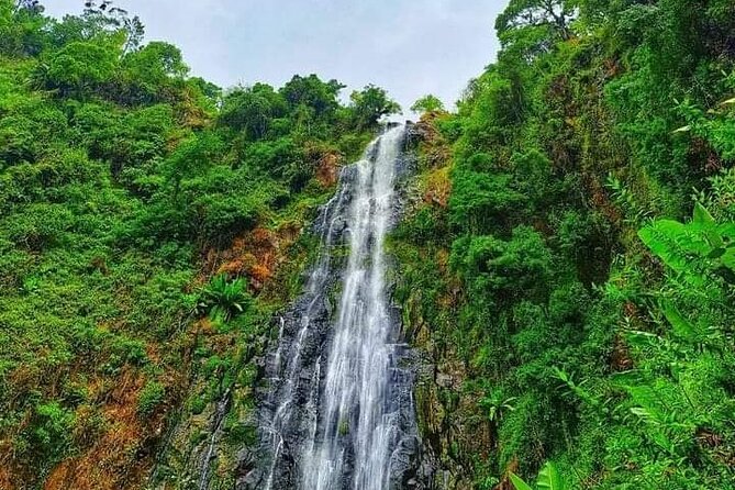 Day Trip to Materuni Waterfalls and Coffee Tour - Coffee Tour Experience