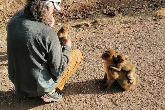 Day Trip to Middle Atlas Mountain and Berber Villages From Fes - Landscapes of the Middle Atlas