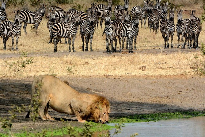 Day Trip to Ngorongoro Crater - Tour Start Time and Duration