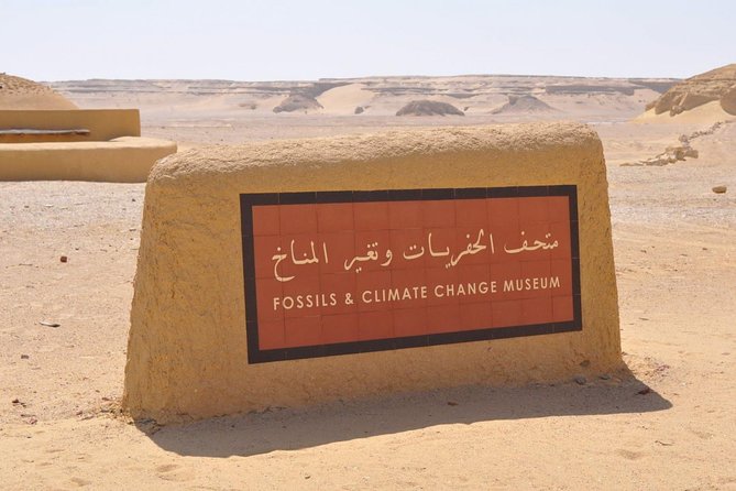 Day Trip to Valley of Whales From Cairo - Wadi El Hitan - Frequently Asked Questions