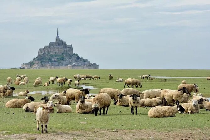 Day Trip With a Local Driver Mont Saint Michel From Saint Malo 6h - Accessibility and Fitness Level