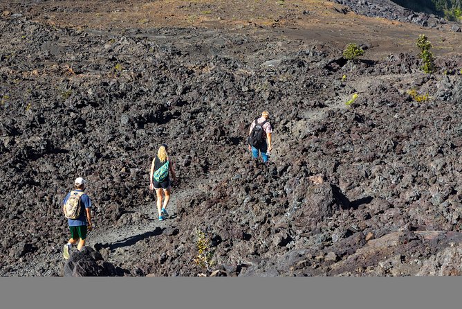 Deluxe Daytime Volcano Guided Charter (Cruise Ship or Hilo Hotel) - Hilo Hotel Pickup