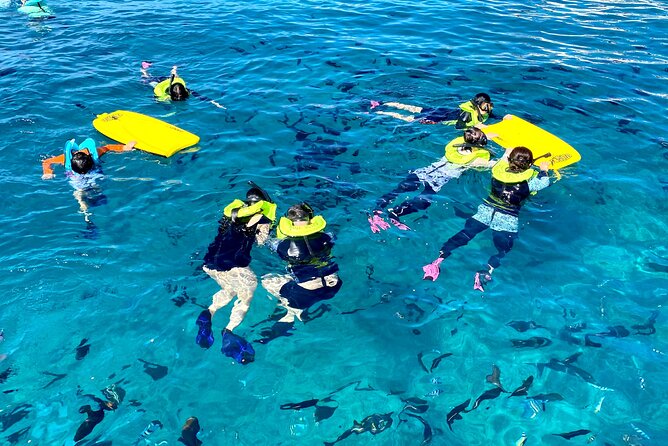 Deluxe Turtle Snorkeling Escapade at Waikiki - Ratings and Feedback