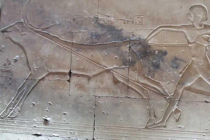 Dendera and Abydos Temples Day Tour From Luxor - Traveler Experiences and Feedback