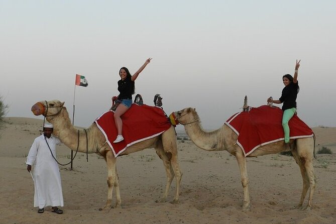 Desert Safari in Dubai Red Dunes With BBQ Dinner Private Tour - Booking Information