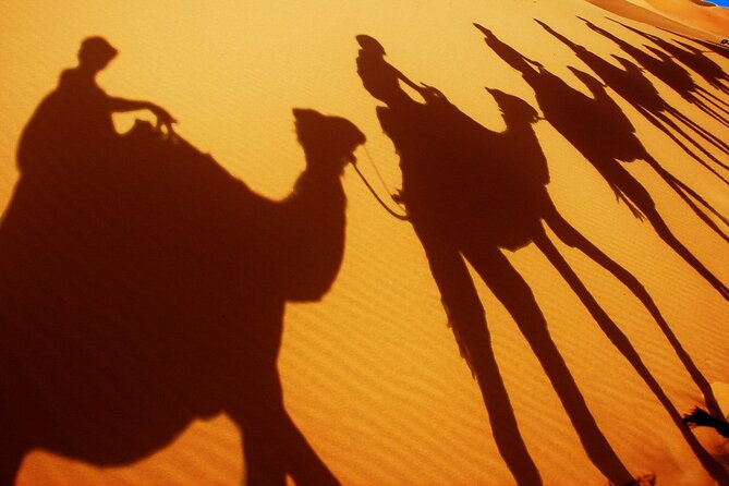 Desert Trip:Fès-Merzouga(1 Night)-Ouarzazat(1 Night)-Marrakech - Visiting Ouarzazate and Todgha Gorges