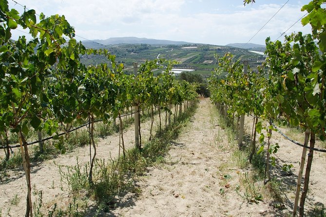 Digenakis Winery - Wine Tasting Experience - Tasting Room