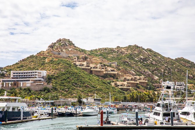 Dinner Cruise Tour in Cabo San Lucas With Tequila Tasting - Customer Feedback