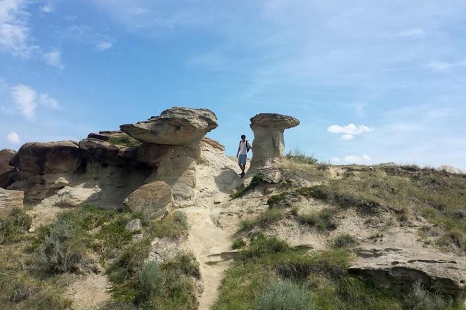Dinosaur World 1 Day: Drumheller-Badland-Hoodoo-Mine National Historic - Tour Conditions and Special Requests