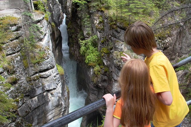 Discover Jasper and Its Wildlife - The Guided Tour Experience