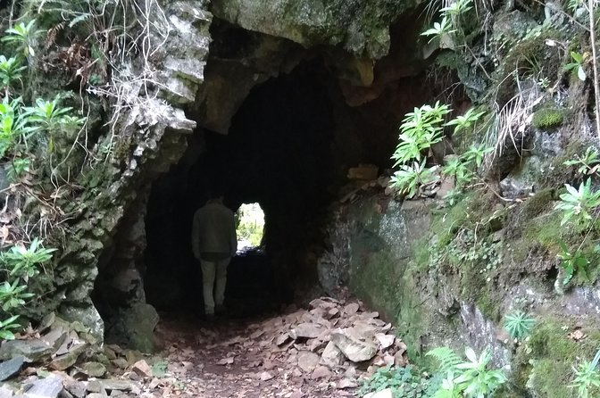 Discover Madeira Island Differently - Cuisine and Local Flavors