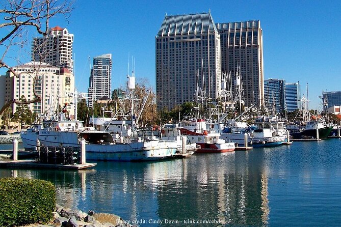 Discover San Diegos Beaches: Private Driving Tour - Exploring La Jolla Cove