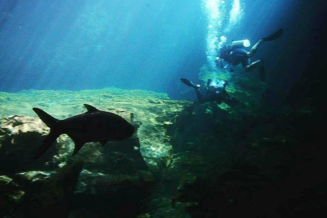 Discover Scuba Diving at Casa Cenote - Health and Safety Guidelines