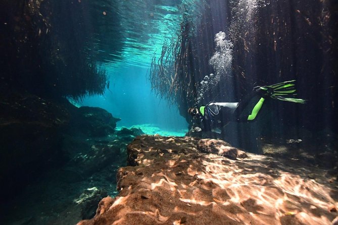 Discover Scuba Diving in Tulum - Customer Experiences