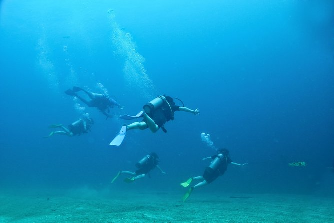 Discover Scuba Experience at Las Caletas, Puerto Vallarta - Mixed Customer Feedback