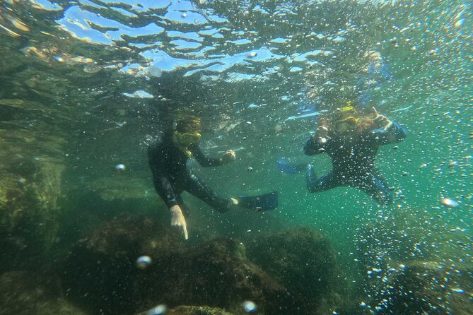 Discover Snorkeling Tour in Panama City - Activity Participation Guidelines