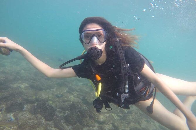Discovery Scuba Diving in Dubai - On-site Amenities and Refreshments