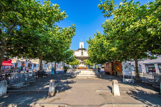Discovery Walk Through Carouge With a Local - Connecting With the Local Guide