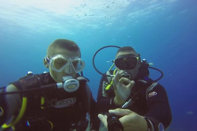 Diving for Beginners by Boat From Puerto Colon - Accessibility and Transportation