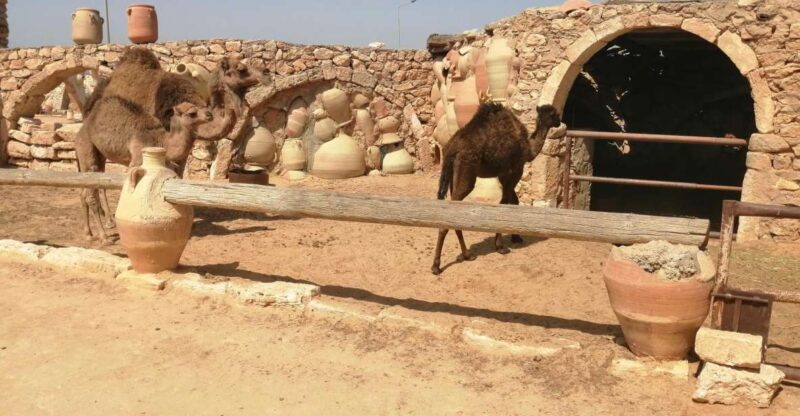 Djerba: Pottery Village and Heritage Museum Tour - Djerba Heritage Museum
