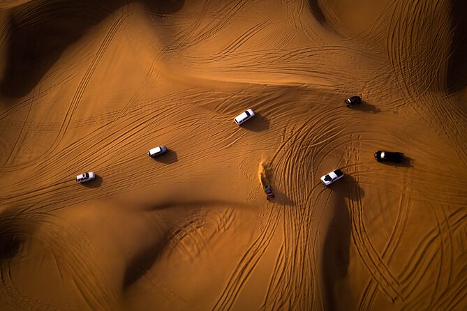 Doha Layover City Tour - Savoring Qatari Culinary Delights
