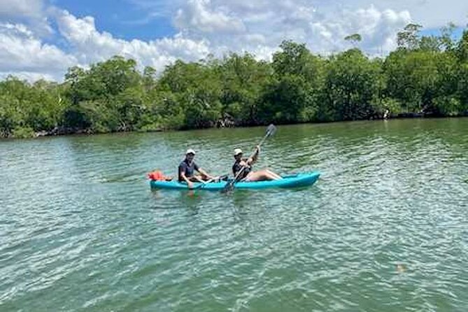 Dolphin and Manatee Kayak Tour of Daytona Beach - Planning Your Visit