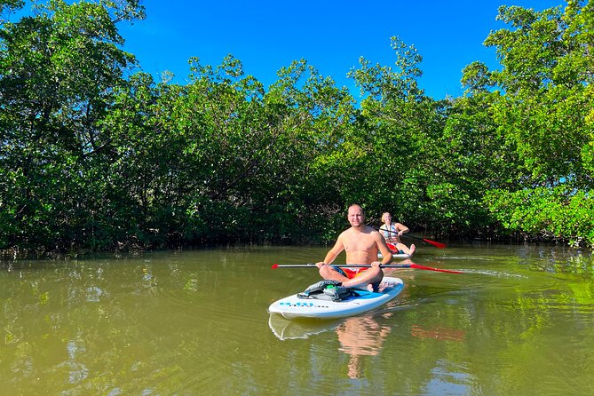 Dolphin and Manatee Paddle Board Guided Activity - Review Highlights and Traveler Feedback