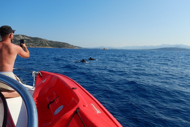 Dolphin Area Rib Boat Tour Small Group_ Guided Tour_Up 7 People - Schedule Details