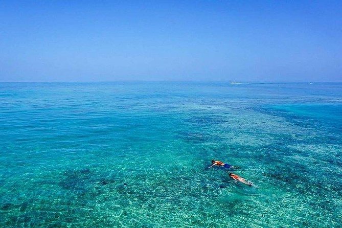 Dolphin Encounters, Ile Aux Benitier & Crystal Rock: Full-Day (Lunch & Transfer) - Ile Aux Benitier Relaxation