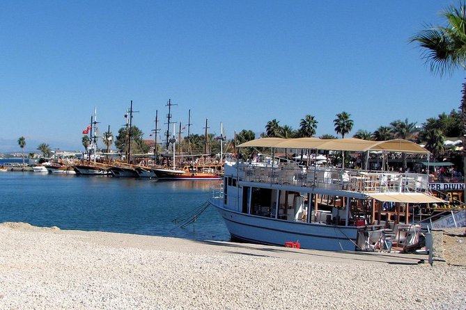 Dolphin Islands Boat Trip Review: Worth It - Traveler Feedback and Ratings