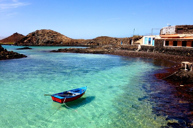 Dolphin Watching Cruise to Lobos Island - Reviews and Feedback