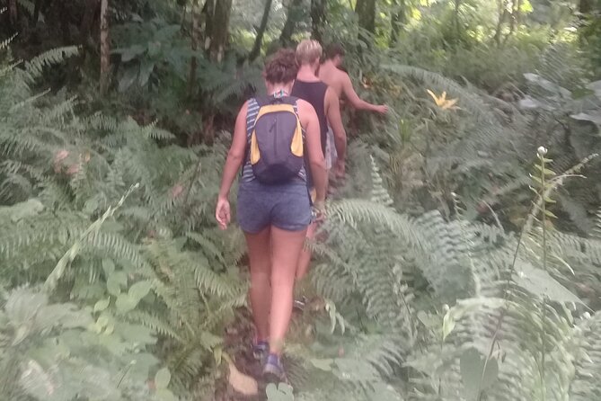 .Dominica Full Day Tour -6 Waterfalls in 1 Day and Rainforest - Physical Challenge