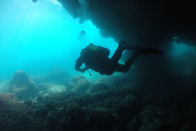Double Dive in Cascais: A Review - Meeting and Pickup Details