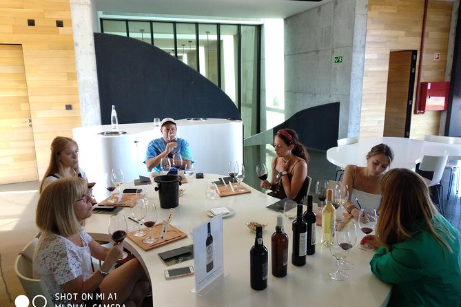 Douro Valley Wine Tour - What to Expect