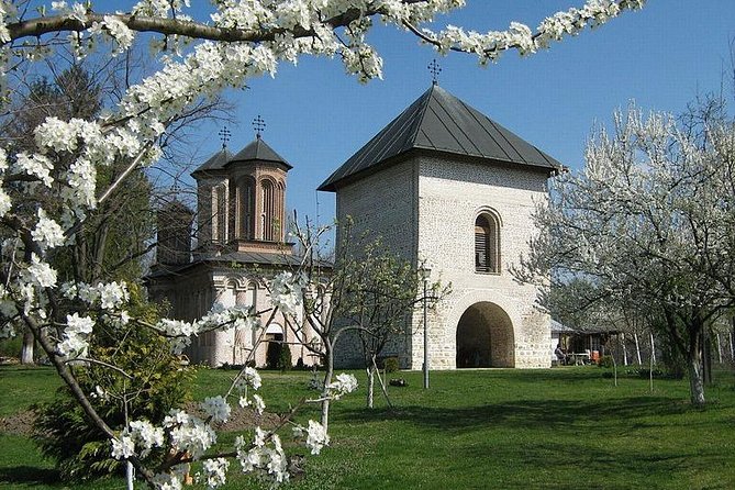 Draculas Tomb and Mogosoaia Palace, Private Tour From Bucharest - Inclusions and Features