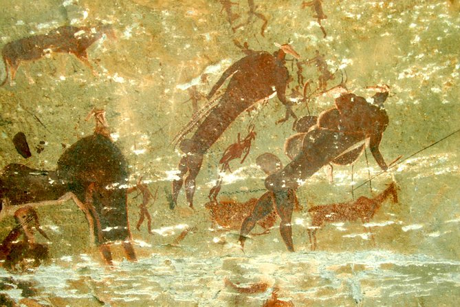 Drakensberg Giants Castle Cave Art & Mandela Capture Site Tour From Durban - Languages and Special Requests