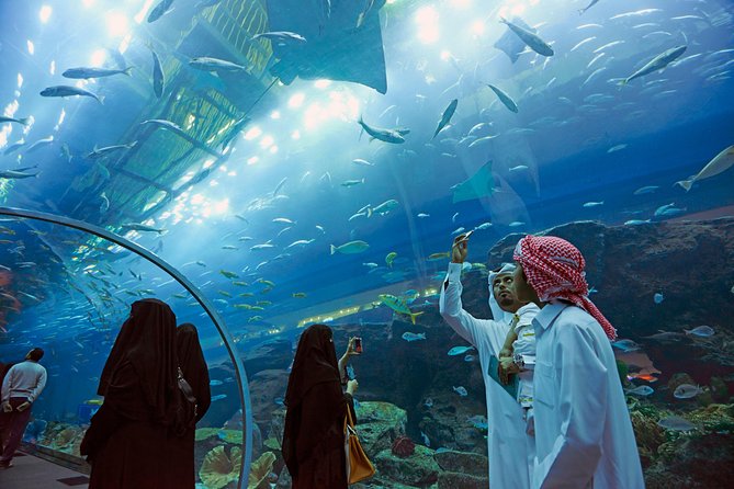 Dubai Aquarium + Penguin Cove Tickets With Transfers - Transportation Choices