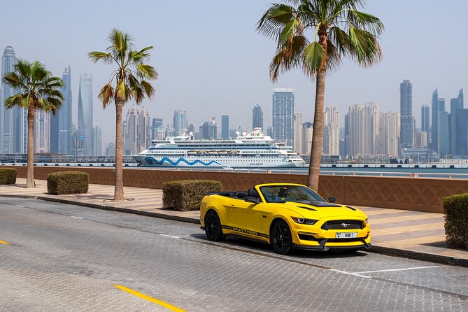 Dubai Cabrio Tour: Guided Tour of Top Sights in a Convertible Car - Accessibility Information