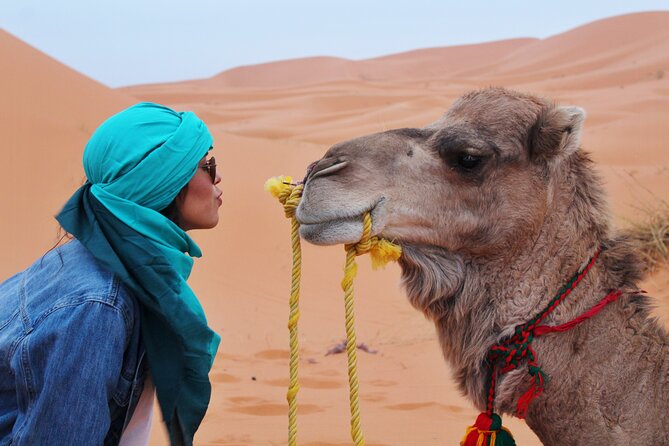 Dubai Desert Safari Tour With BBQ Dinner - Transportation Details