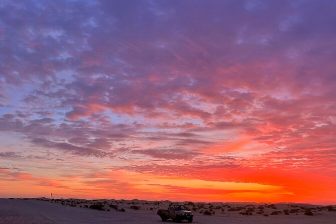 Dubai Evening Desert Safari - Booking Information and Pricing