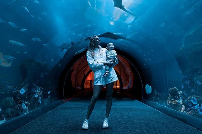 Dubai Mall Aquarium and Underwater Zoo Ticket - Customer Support and Feedback