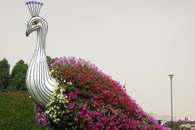 Dubai Miracle Garden Self-Guided Tour With Ticket With Transfer - Customer Experiences
