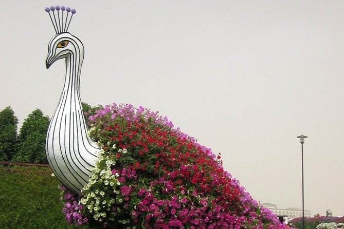 Dubai Miracle Garden Ticket With Transfer - Cancellation Policies