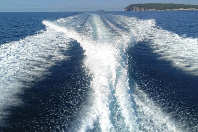 Dubrovnik Private Speed Boat Tour Review - Cancellation Policy and Participation