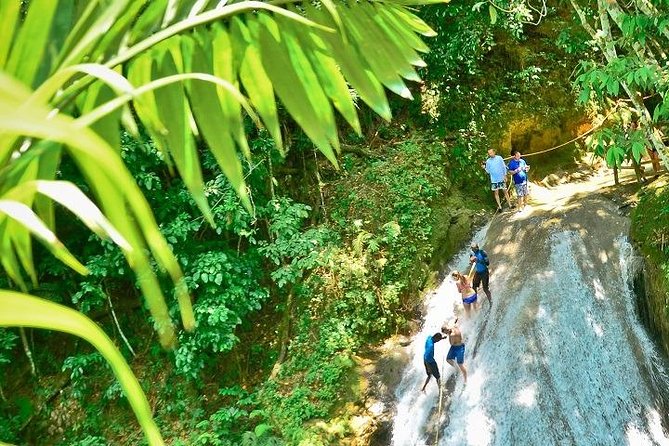 Dunns River & Blue Hole From Runaway Bay - Response From Host