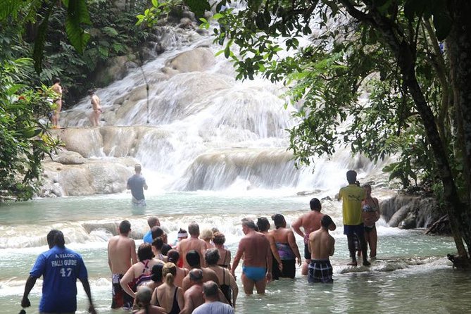 Dunns River Falls & Bob Marley - Accessibility and Recommendations