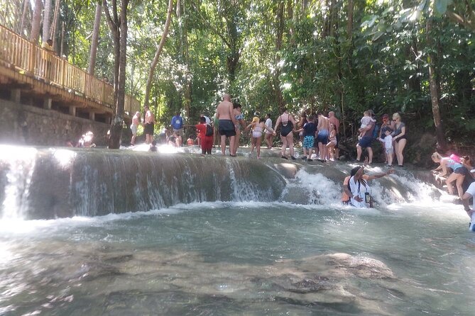 Dunns River Falls Private Tour ** {Entry Tickets Included }** - Booking Flexibility